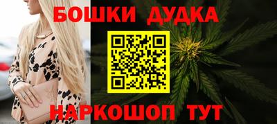 амф Новокубанск
