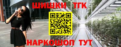 mdpv Новодвинск