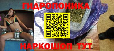 твердый Новозыбков
