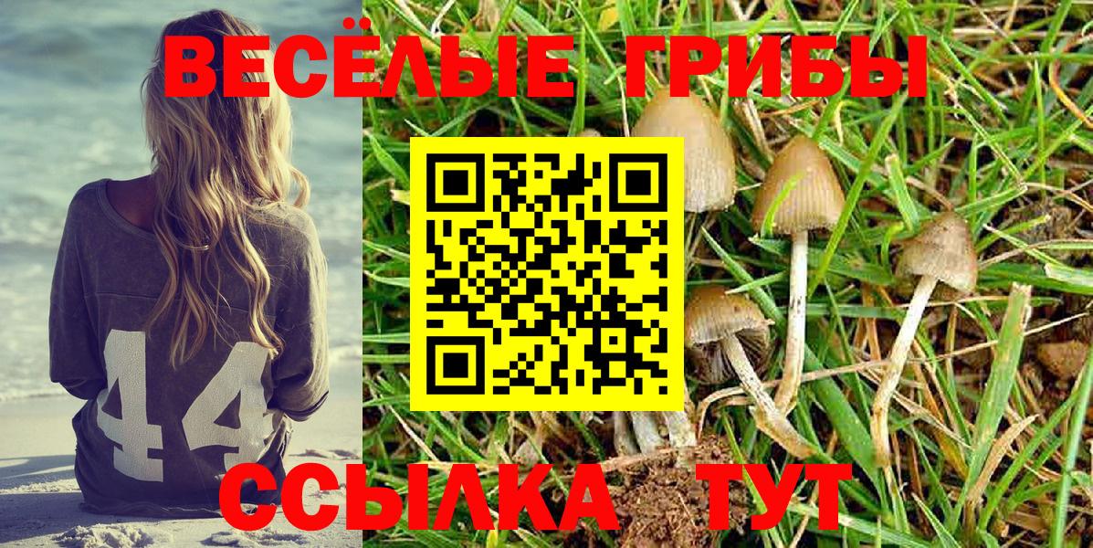 Фрязино  Псилоцибиновые грибы Psilocybe  Псилоцибиновые грибы мицелий  Вход с VPN 