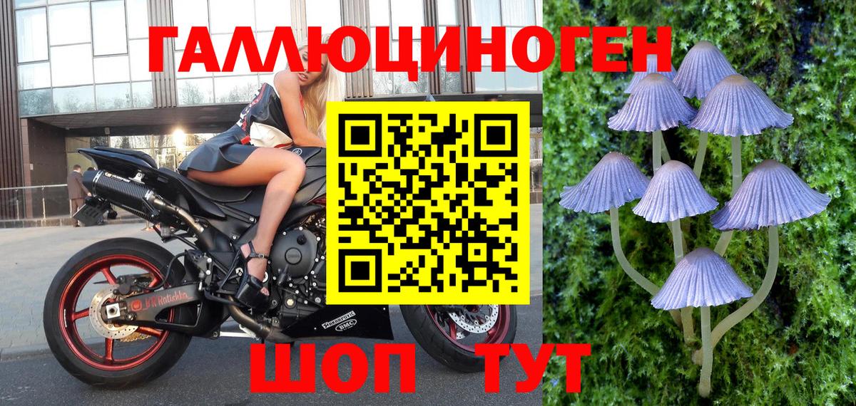 Псилоцибиновые грибы Magic Shrooms Фрязино